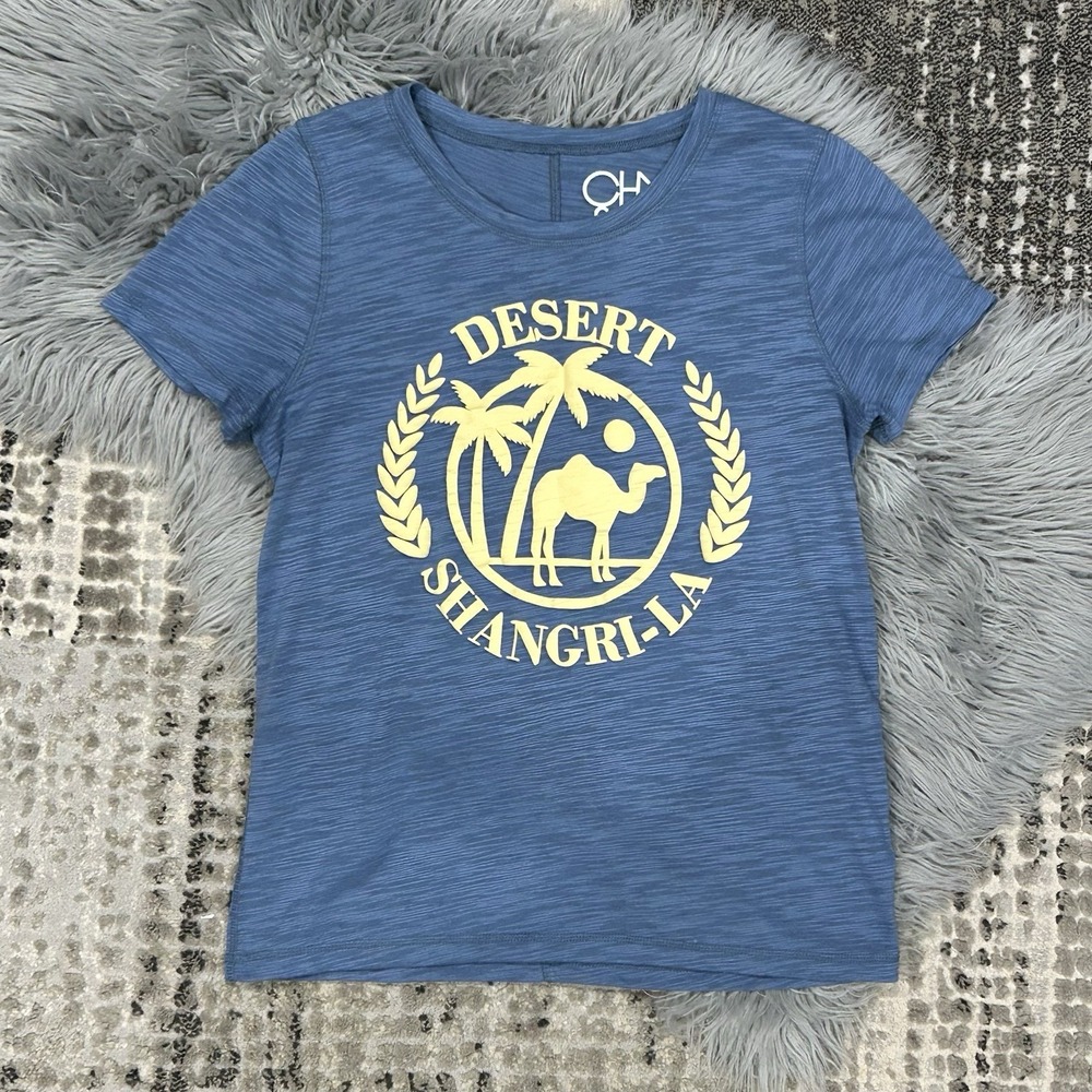 Chaser Women's Desert Shangri-La Puffy Graphic Blue T Shirt Size Small